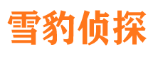 东丰侦探公司